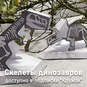 Подписка кружок