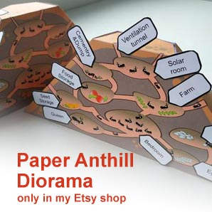 Paper Anthill Diorama - Ant Colony educational toy